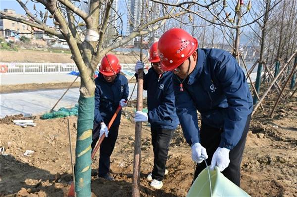 党建引领添新绿，生态护航践初心