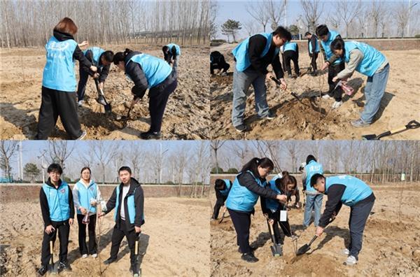 中建八局第一数字科技有限公司组织青年员工开展“建证‘十五五’· 青春志愿行”植树活动