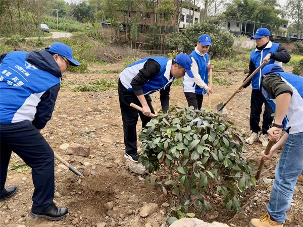 中交一公局西南公司威远项目开展植树节活动