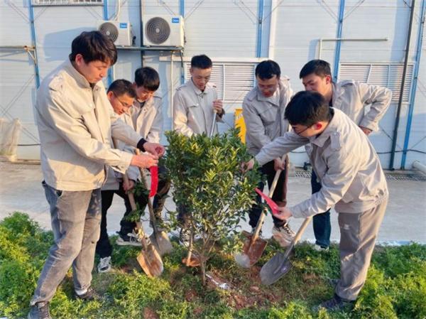 厚植清风之林 培育廉洁沃土