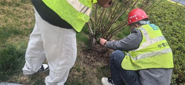 厚植清风之林 培育廉洁沃土
