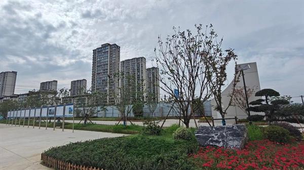 绿色低碳焕新校园好光景