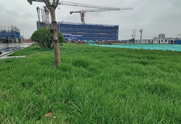 绿色低碳焕新校园好光景