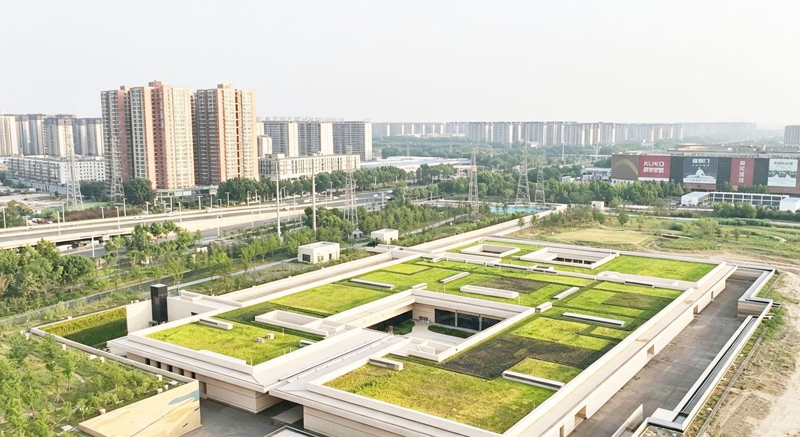 守护星空下的文明 ——中建一局大河村遗址博物馆新馆建设纪实