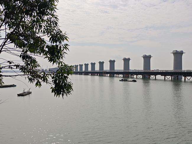 耕海筑桥向通途 ——合湛高铁广西段3标铁山港跨海大桥建设侧记