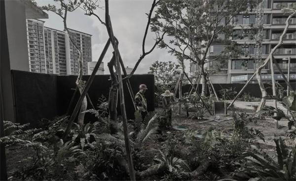 睿住天元设计｜以江为底，循景洄游，遇生活本真／阳江美的·未来中心（一期）江山